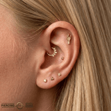 Cactus – 14K Gold Threadless/Threaded End - piercing - zone.com