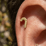 Candy Cane – 14K Gold Threadless/Threaded End - piercing - zone.com