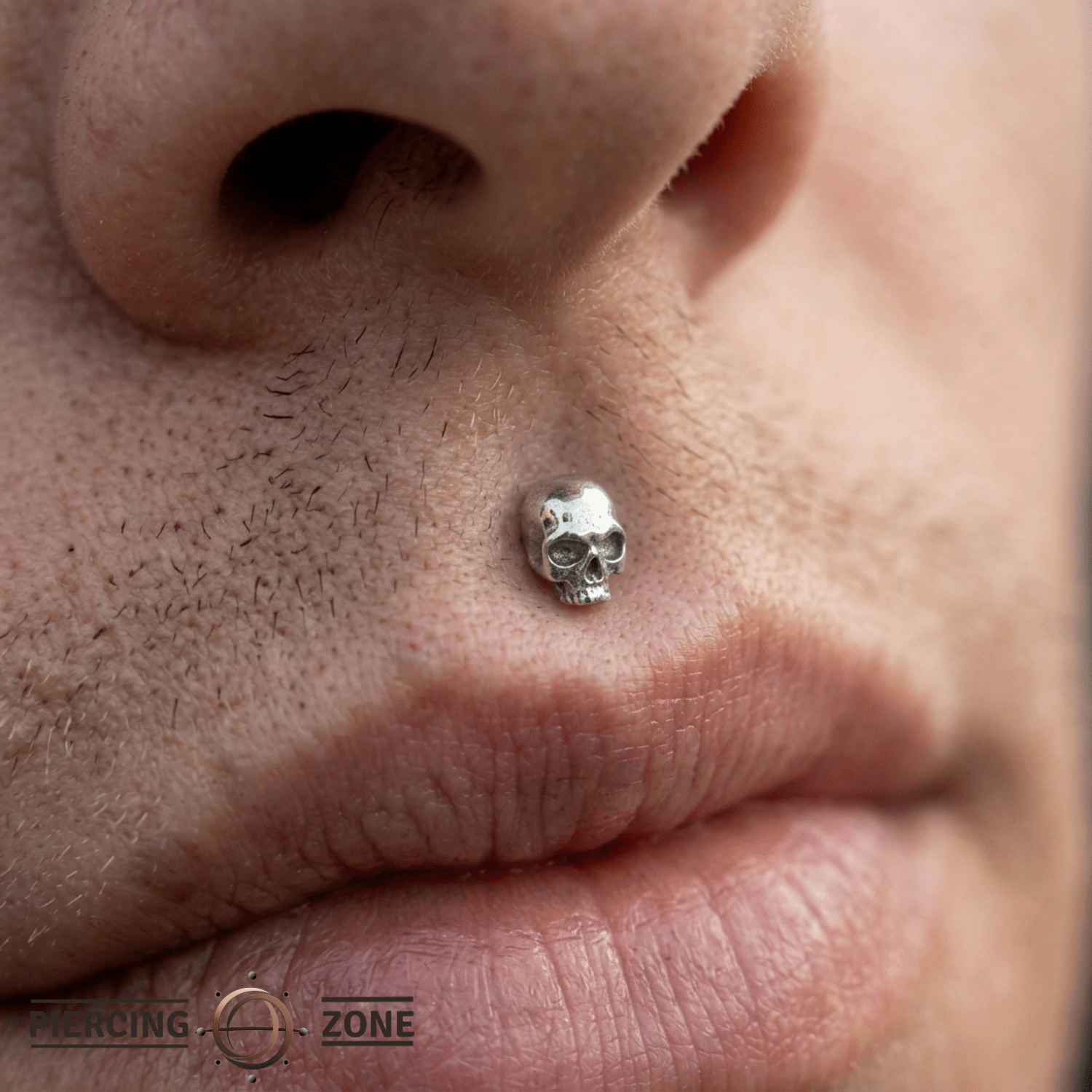 Catacomb – 14K Gold Jawless Skull Threadless Pin - piercing - zone.com
