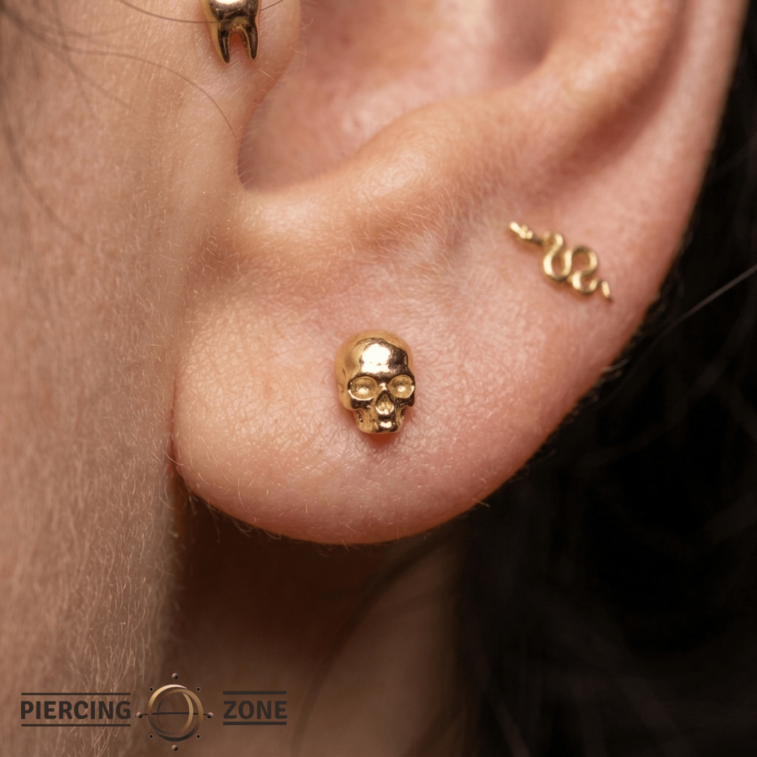Catacomb – 14K Gold Jawless Skull Threadless Pin - piercing - zone.com