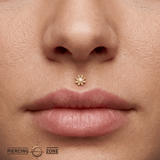 Chamomile Flower – 14K Gold Threadless/Threaded End - piercing - zone.com