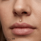 Chamomile Flower – 14K Gold Threadless/Threaded End - piercing - zone.com