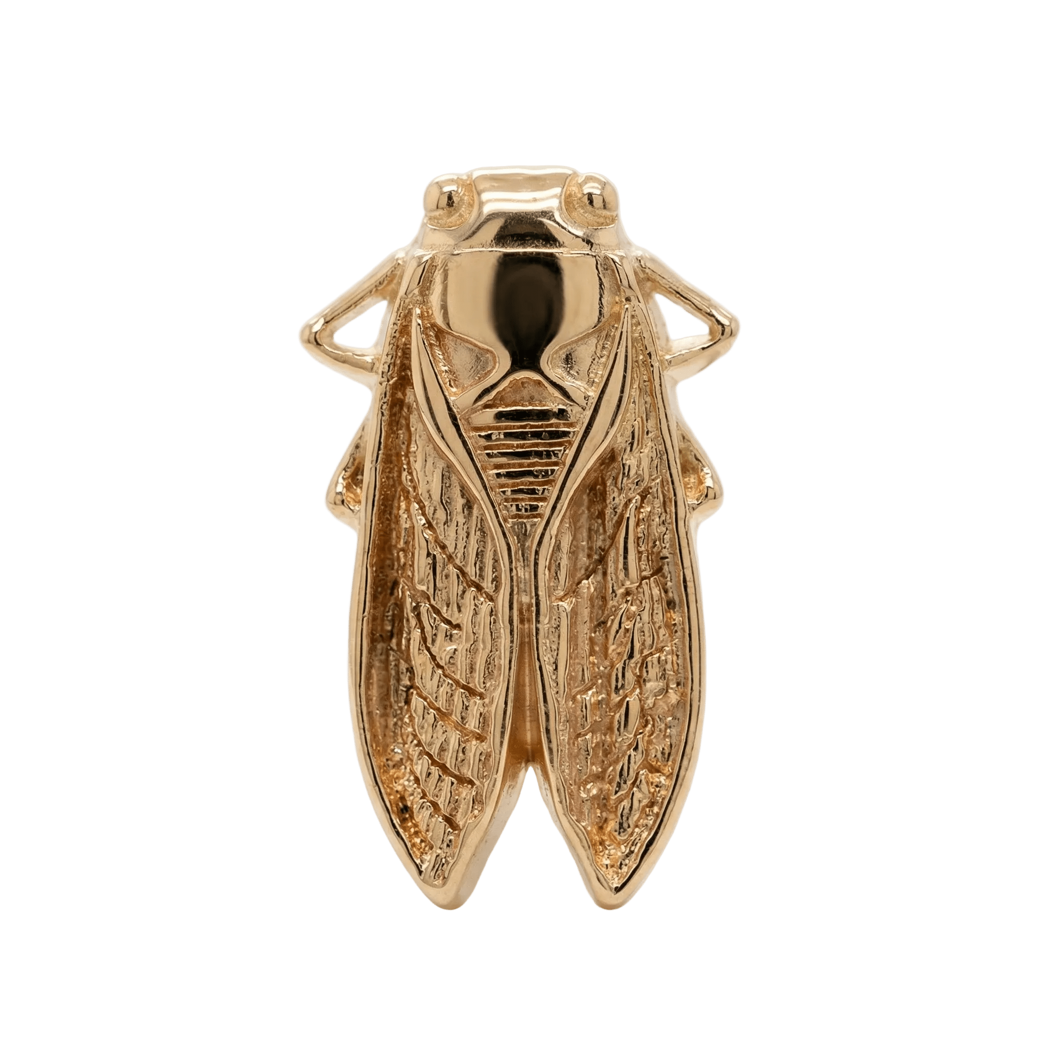 Cicada – 14K Gold Threadless/Threaded End - piercing - zone.com