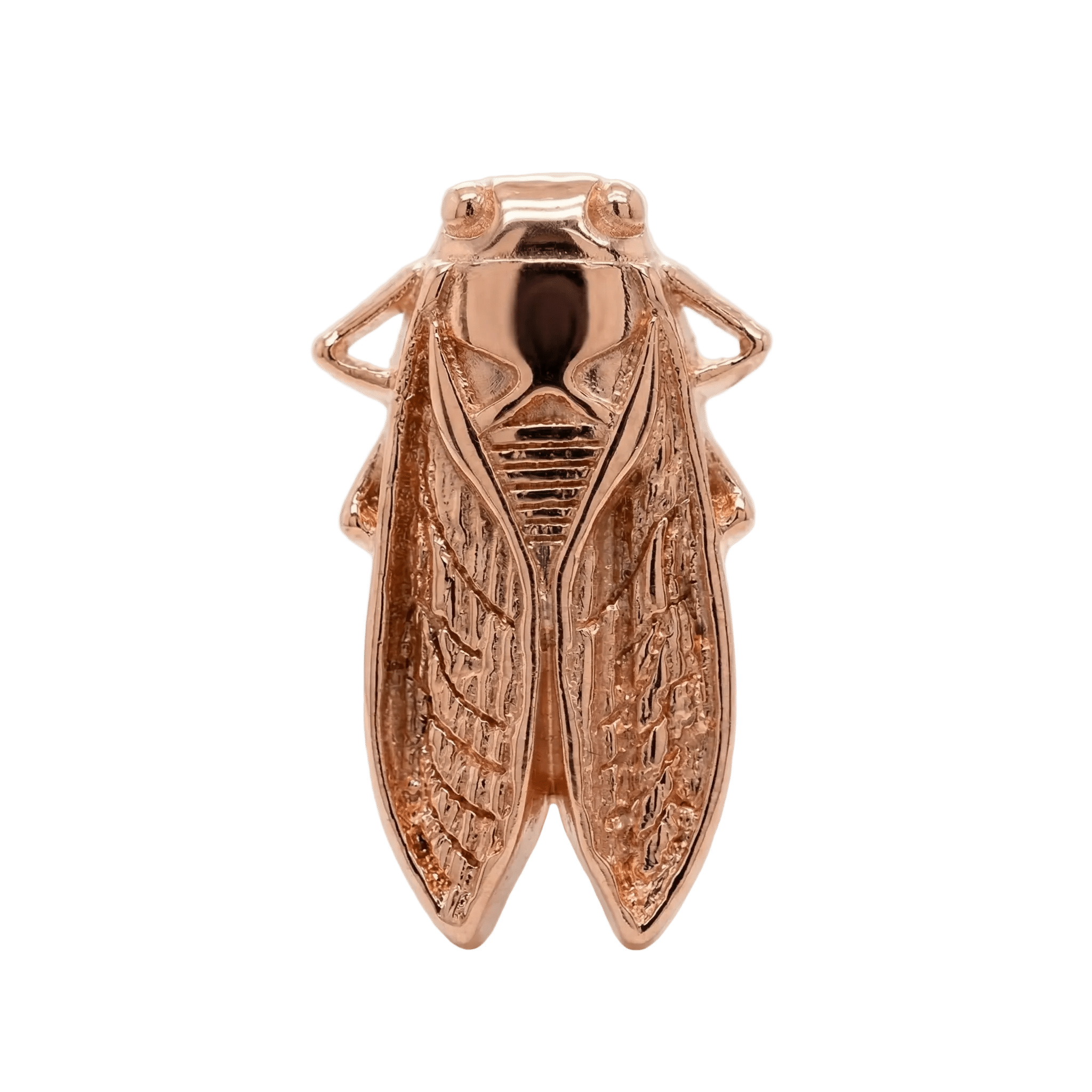 Cicada – 14K Gold Threadless/Threaded End - piercing - zone.com