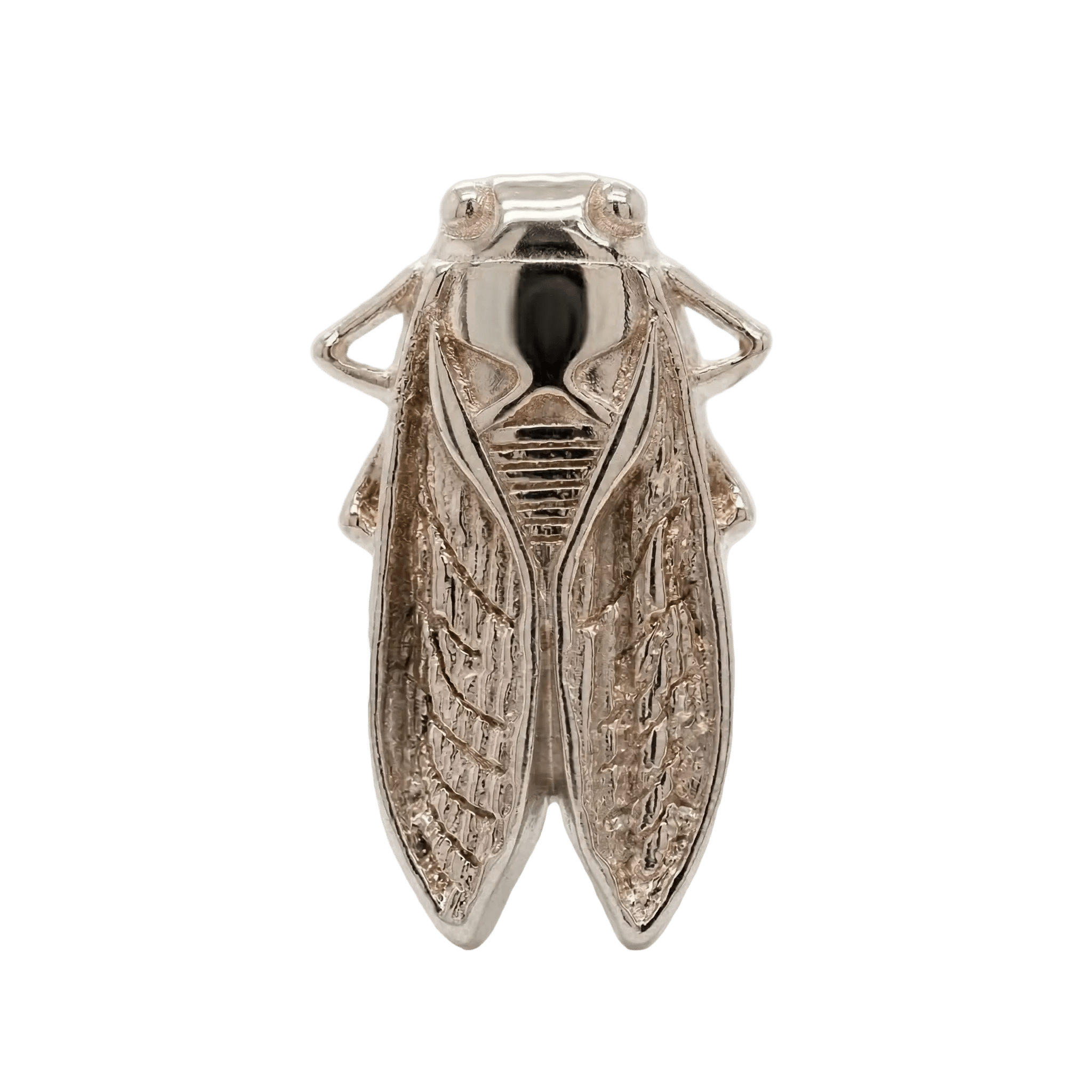 Cicada – 14K Gold Threadless/Threaded End - piercing - zone.com