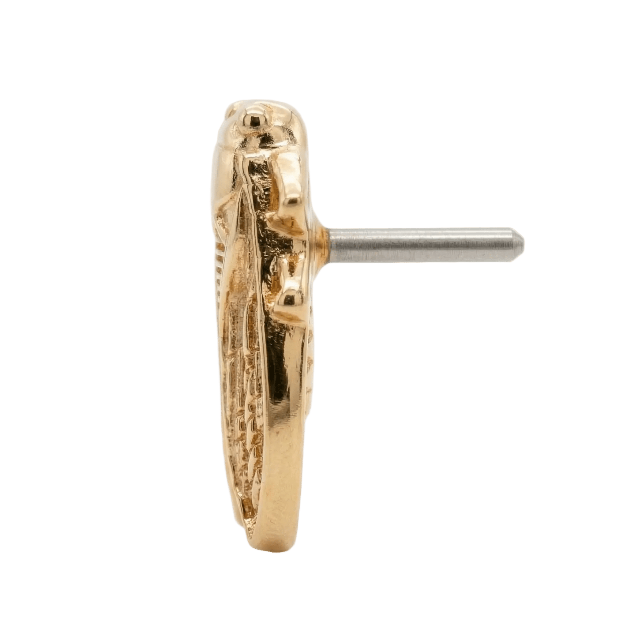 Cicada – 14K Gold Threadless/Threaded End - piercing - zone.com