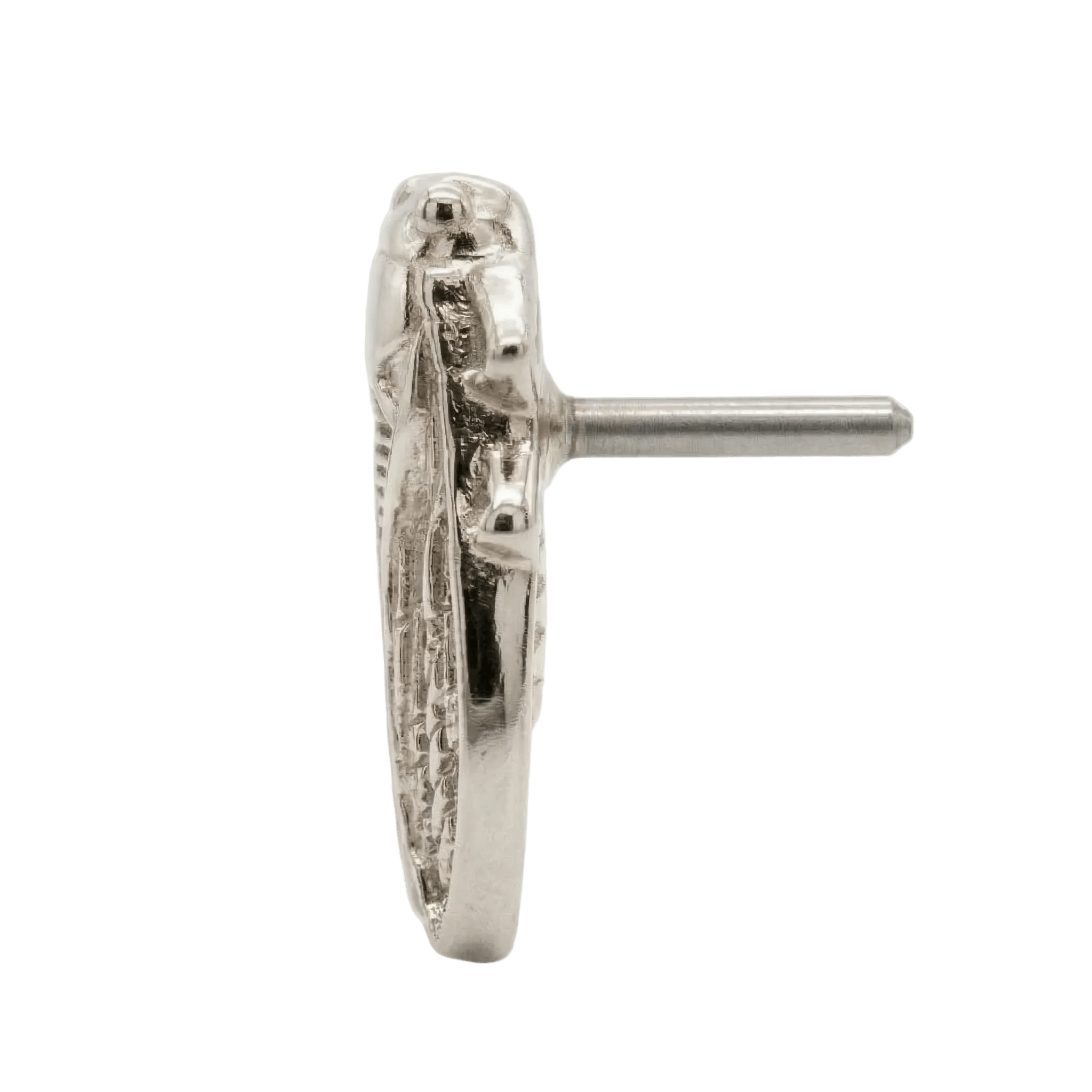 Cicada – 14K Gold Threadless/Threaded End - piercing - zone.com