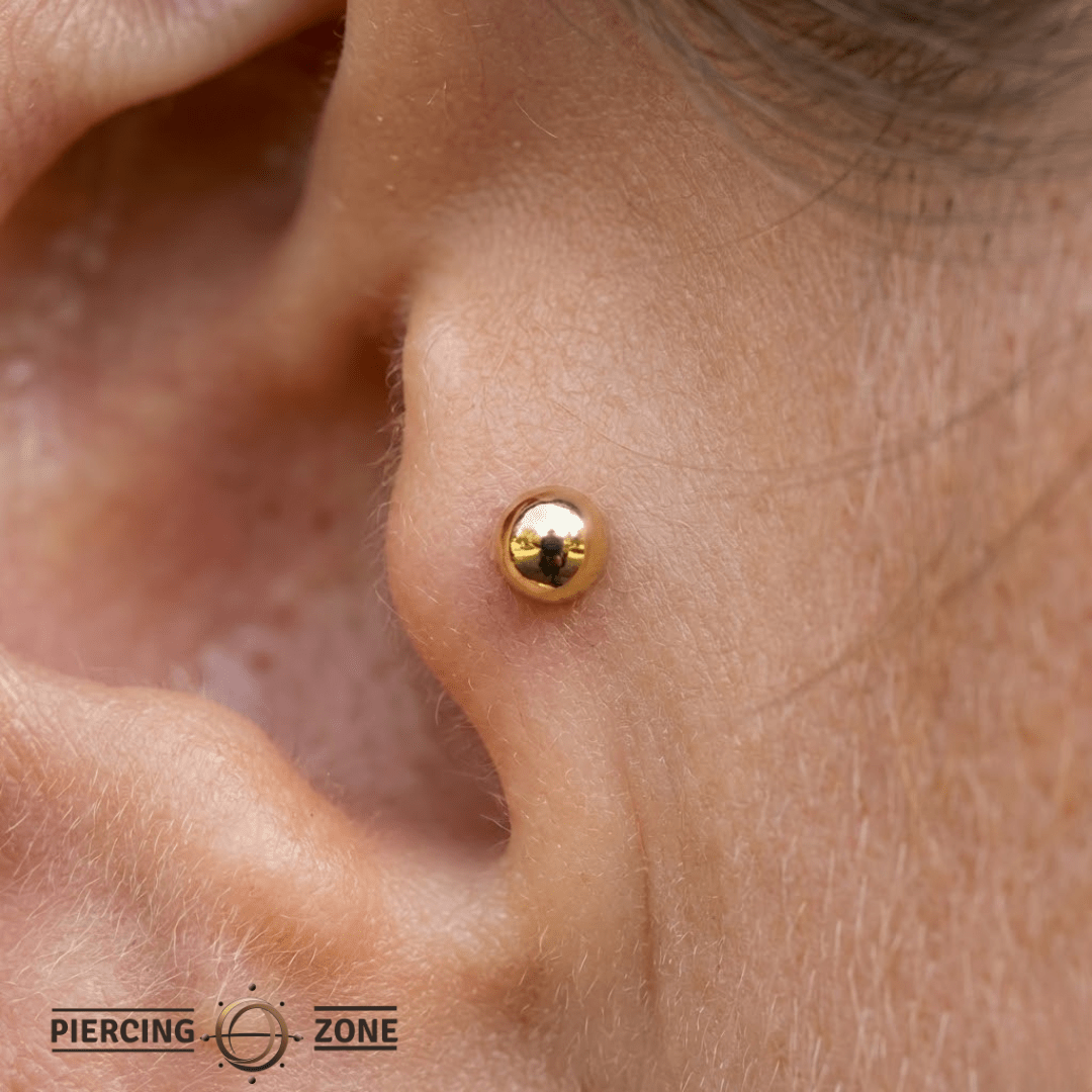 Classic Balls – Polished Spheres – 14K Gold Threadless & Threaded Ends - piercing - zone.com