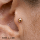 Classic Balls – Polished Spheres – 14K Gold Threadless & Threaded Ends - piercing - zone.com