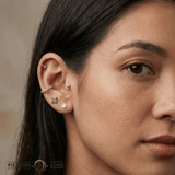 Clover – 14K Gold Threadless/Threaded End - piercing - zone.com