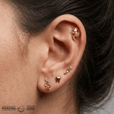 Coffin – Skeleton Hands & Coffin Silhouette – 14K Gold Threadless End - piercing - zone.com