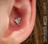 Luna – CZ Accented Moth – 14K Gold Threadless End