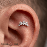 Coronet – 14K Gold Threadless/Threaded End - piercing - zone.com