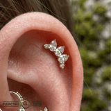Coronet – 14K Gold Threadless/Threaded End - piercing - zone.com