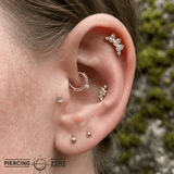 Coronet – 14K Gold Threadless/Threaded End - piercing - zone.com