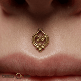 Curly Q – 14K Gold Threadless/Threaded End - piercing - zone.com