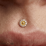 Daisy – 14K Gold Threadless/Threaded End - piercing - zone.com