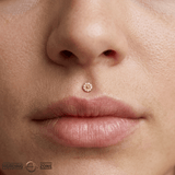 Daisy – 14K Gold Threadless/Threaded End - piercing - zone.com