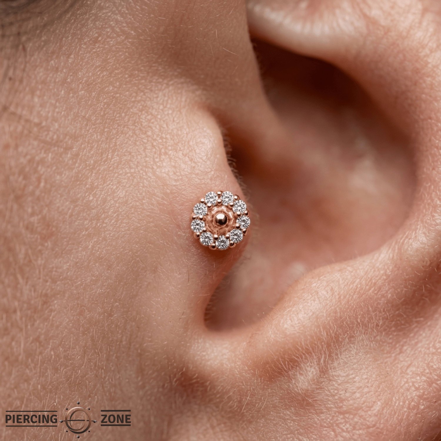 Daisy – 14K Gold Threadless/Threaded End - piercing - zone.com