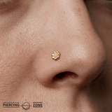 Daisy Pin - 14K Gold Floral Threadless End - piercing - zone.com