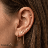 Daphne - 18K Gold Threadless/Threaded End - piercing-zone.com
