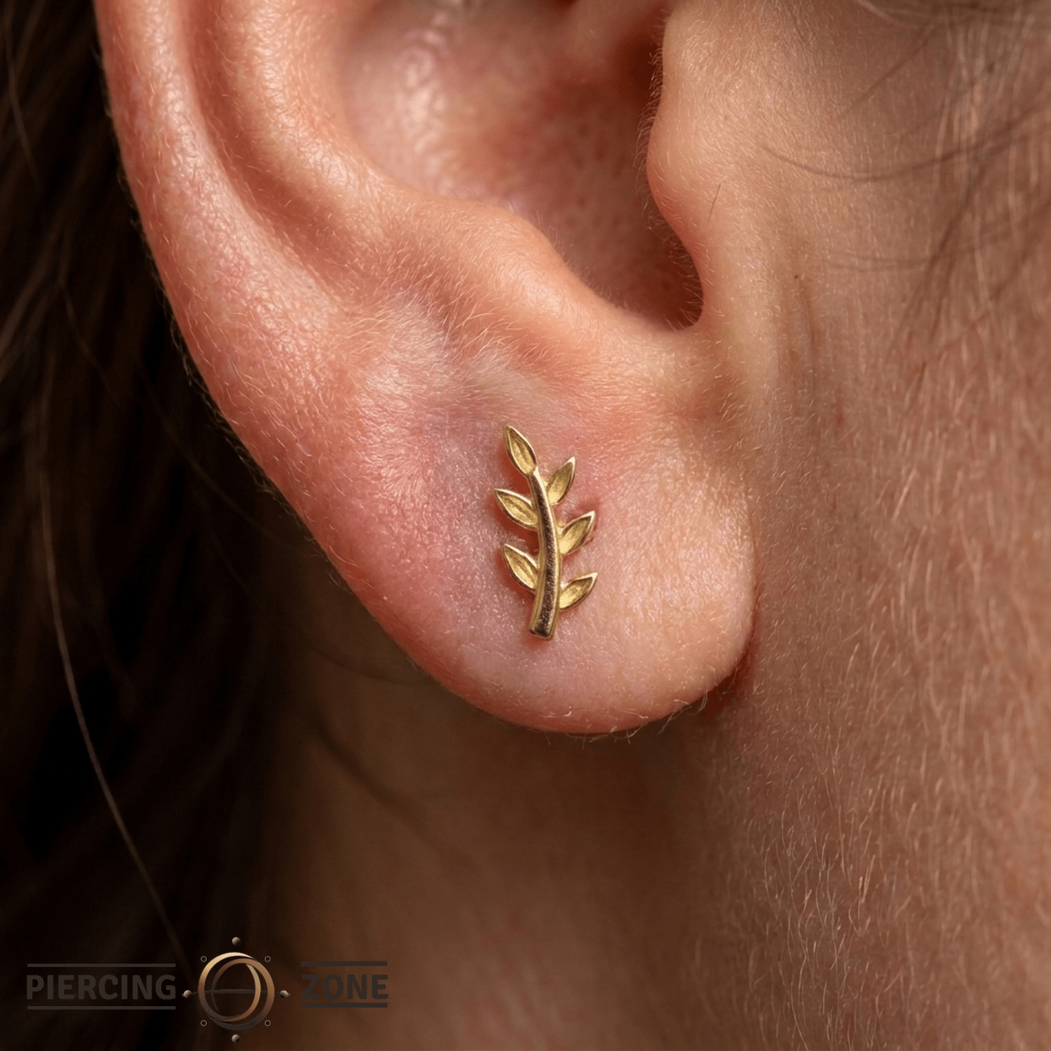 Daphne - 18K Gold Threadless/Threaded End - piercing-zone.com