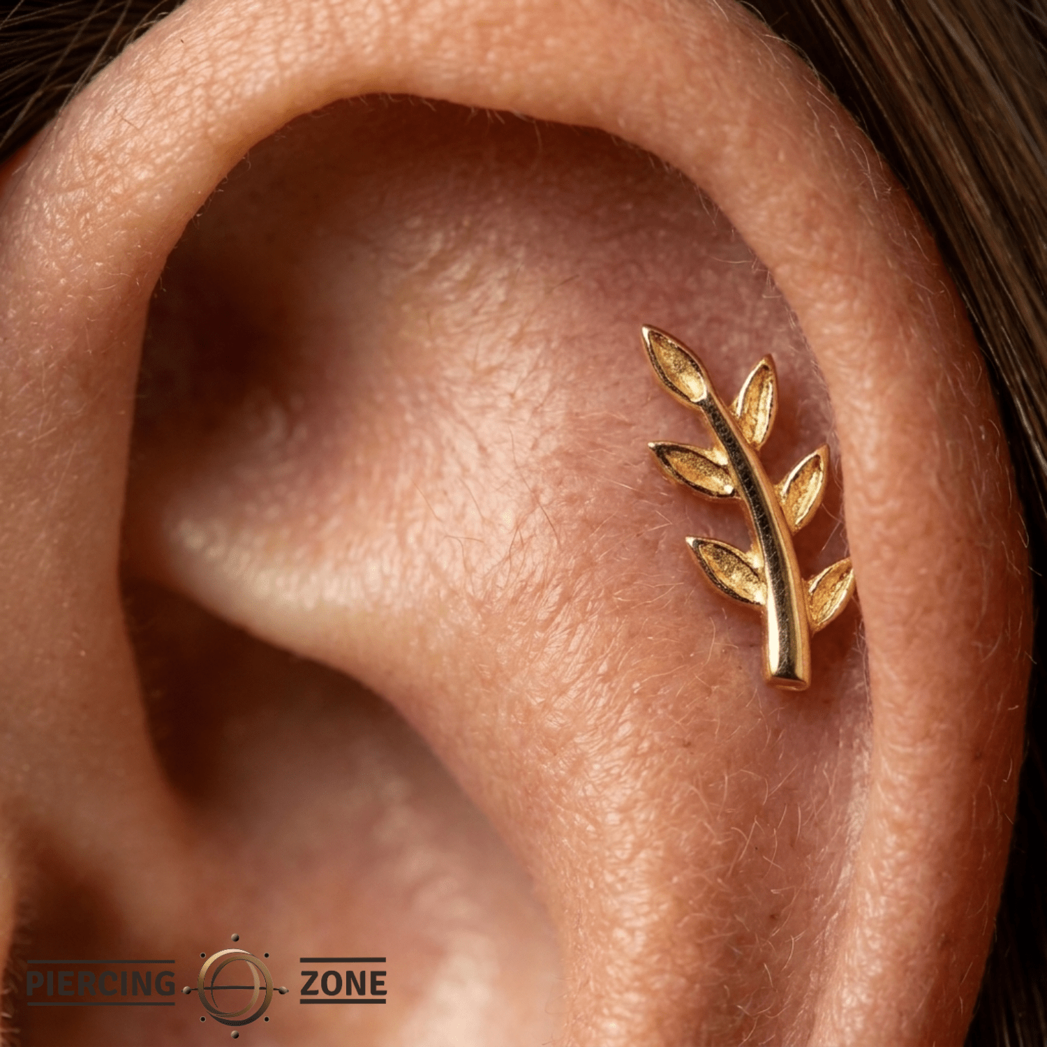 Daphne - 18K Gold Threadless/Threaded End - piercing-zone.com