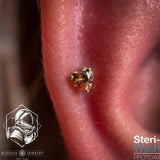 Dark Champagne Heart – CZ Prong Set – 14K Gold Threadless End - piercing - zone.com