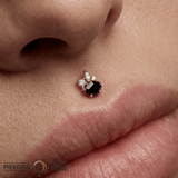 Darque – Black Agate & CZ Asymmetrical – 14K Gold Threadless End - piercing - zone.com