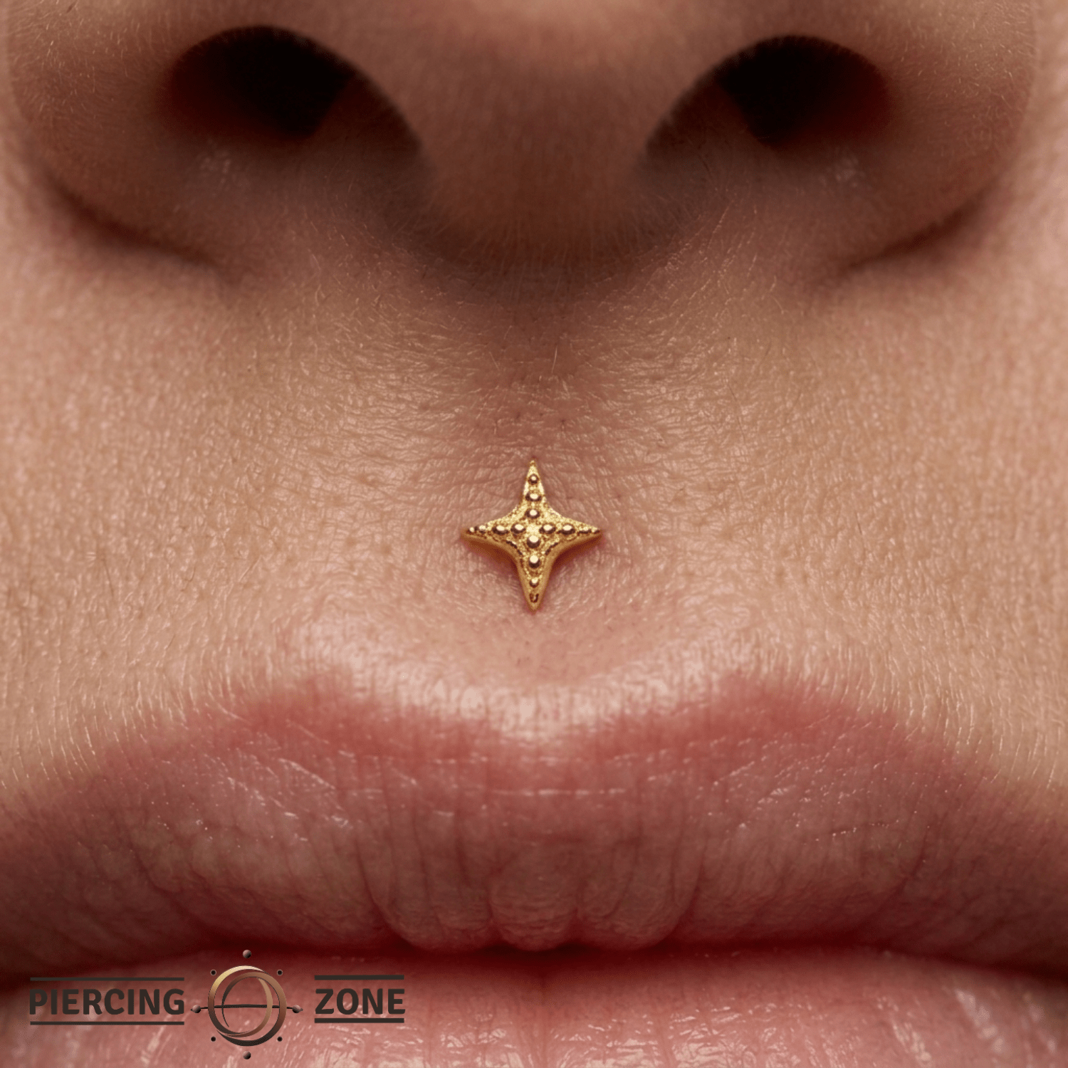Dazzle Pin - 14K Gold Threadless End - piercing - zone.com