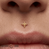Dazzle Pin - 14K Gold Threadless End - piercing - zone.com