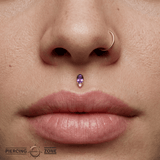 Desden – Amethyst & CZ Duo – 14K Gold Threadless End - piercing - zone.com