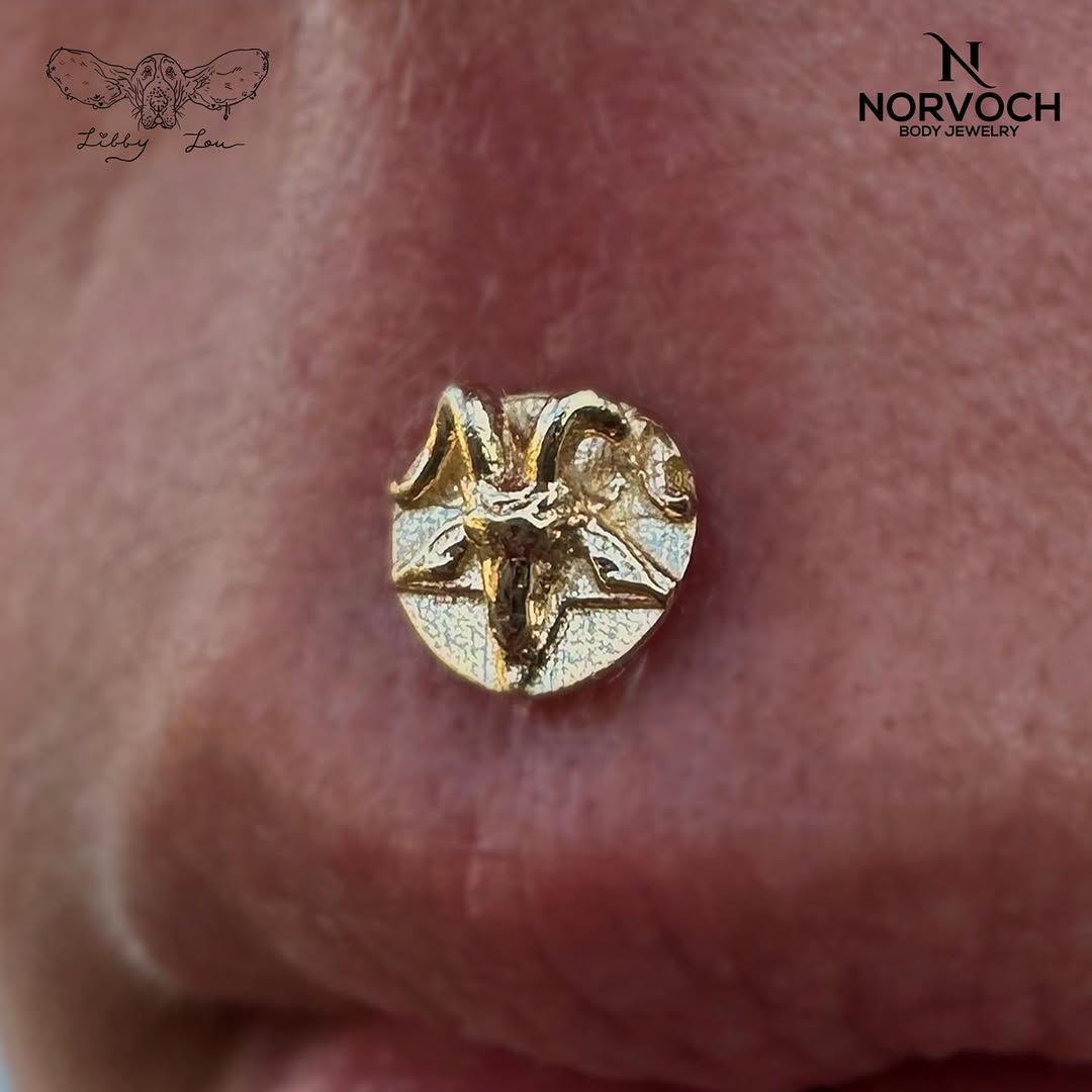 Devil – 14K Gold Threadless & Threaded End - piercing - zone.com