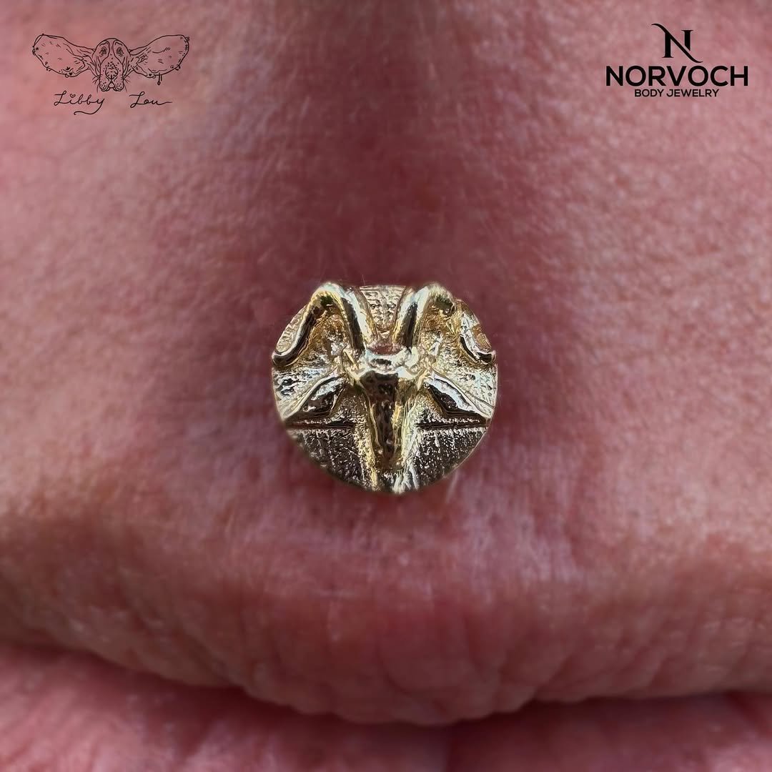 Devil – 14K Gold Threadless & Threaded End - piercing - zone.com