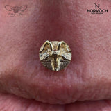 Devil – 14K Gold Threadless & Threaded End - piercing - zone.com