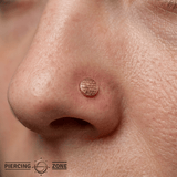 Disco - 14K Gold Threadless/Threaded End - piercing - zone.com