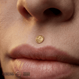 Disco - 14K Gold Threadless/Threaded End - piercing - zone.com