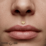 Disco - 14K Gold Threadless/Threaded End - piercing - zone.com
