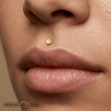 Disk – Polished Flat – 14K Gold Threadless End - piercing - zone.com