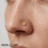 Distortion Disc – Textured 14K Gold Threadless Pin - piercing - zone.com