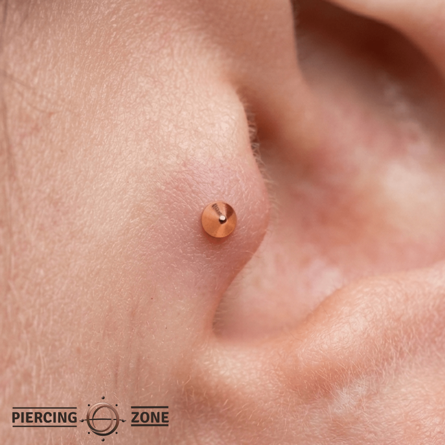 Dita Pin - 14K Gold Cone Threadless End - piercing - zone.com
