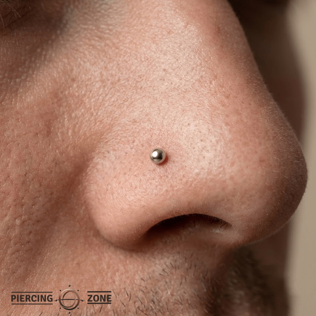 Dome – 14K Gold Threadless/Threaded End - piercing - zone.com
