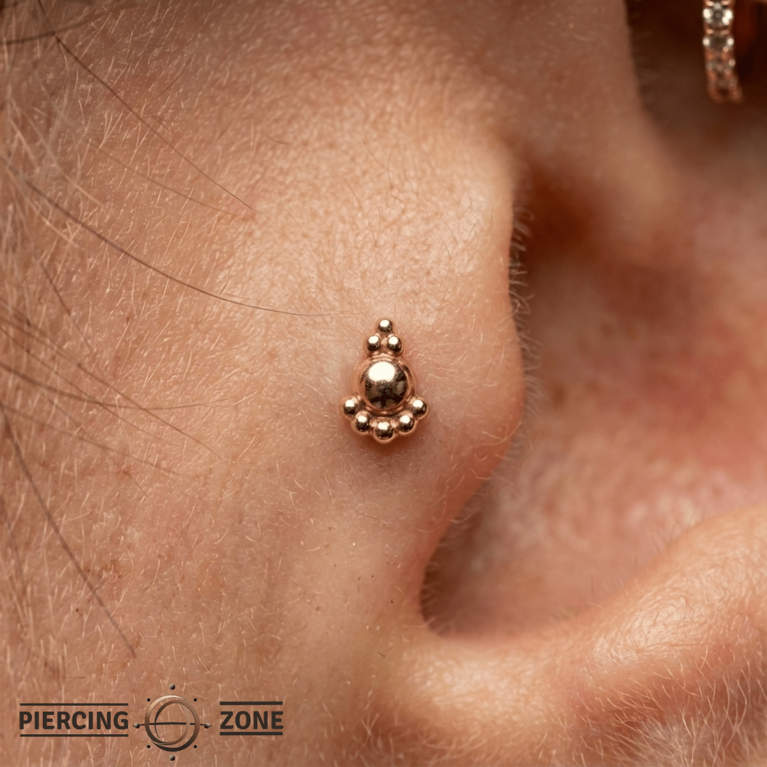 Dome - 18K Gold Threadless/Threaded End - piercing-zone.com