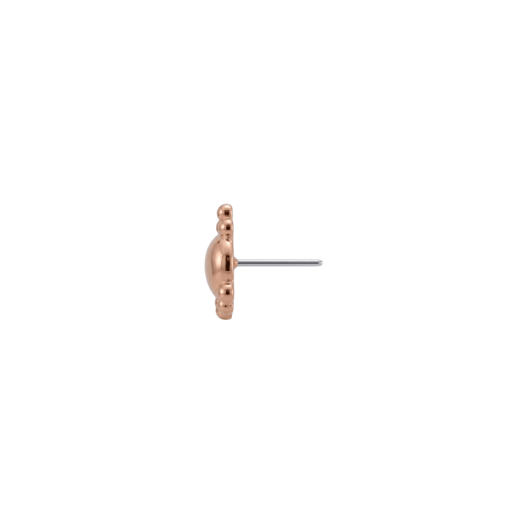 Dome - 18K Gold Threadless/Threaded End - piercing-zone.com