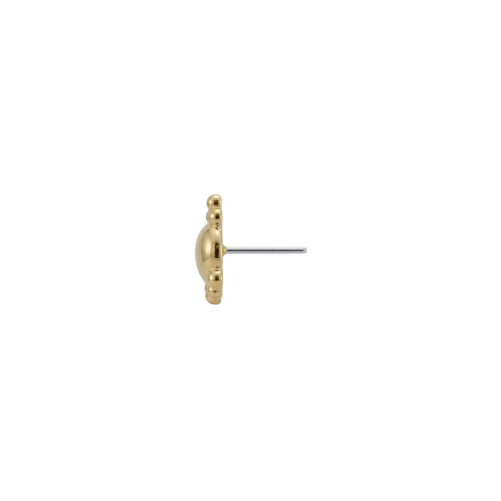 Dome - 18K Gold Threadless/Threaded End - piercing-zone.com