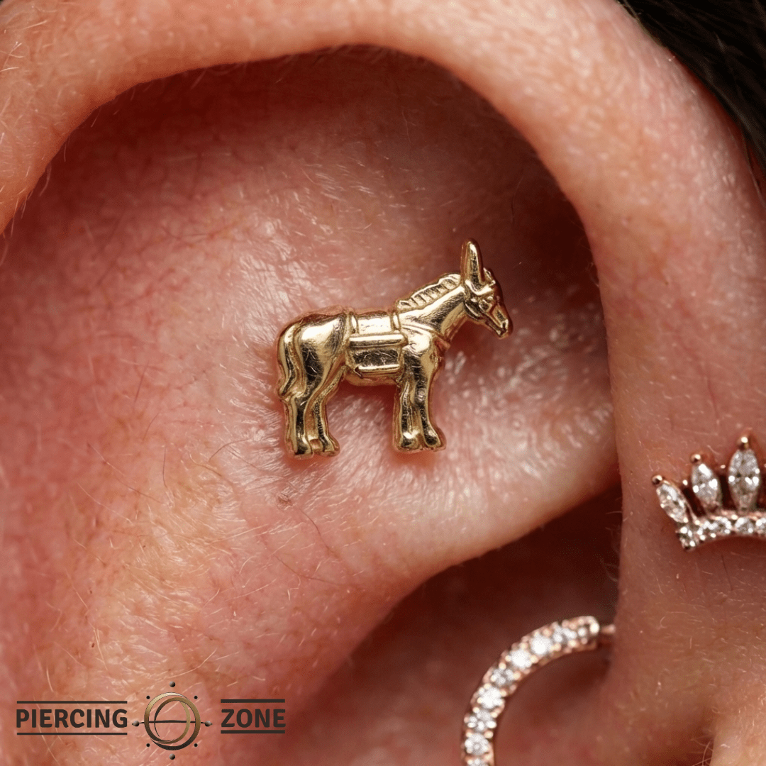 Donkey – 14K Gold Threadless/Threaded End - piercing - zone.com