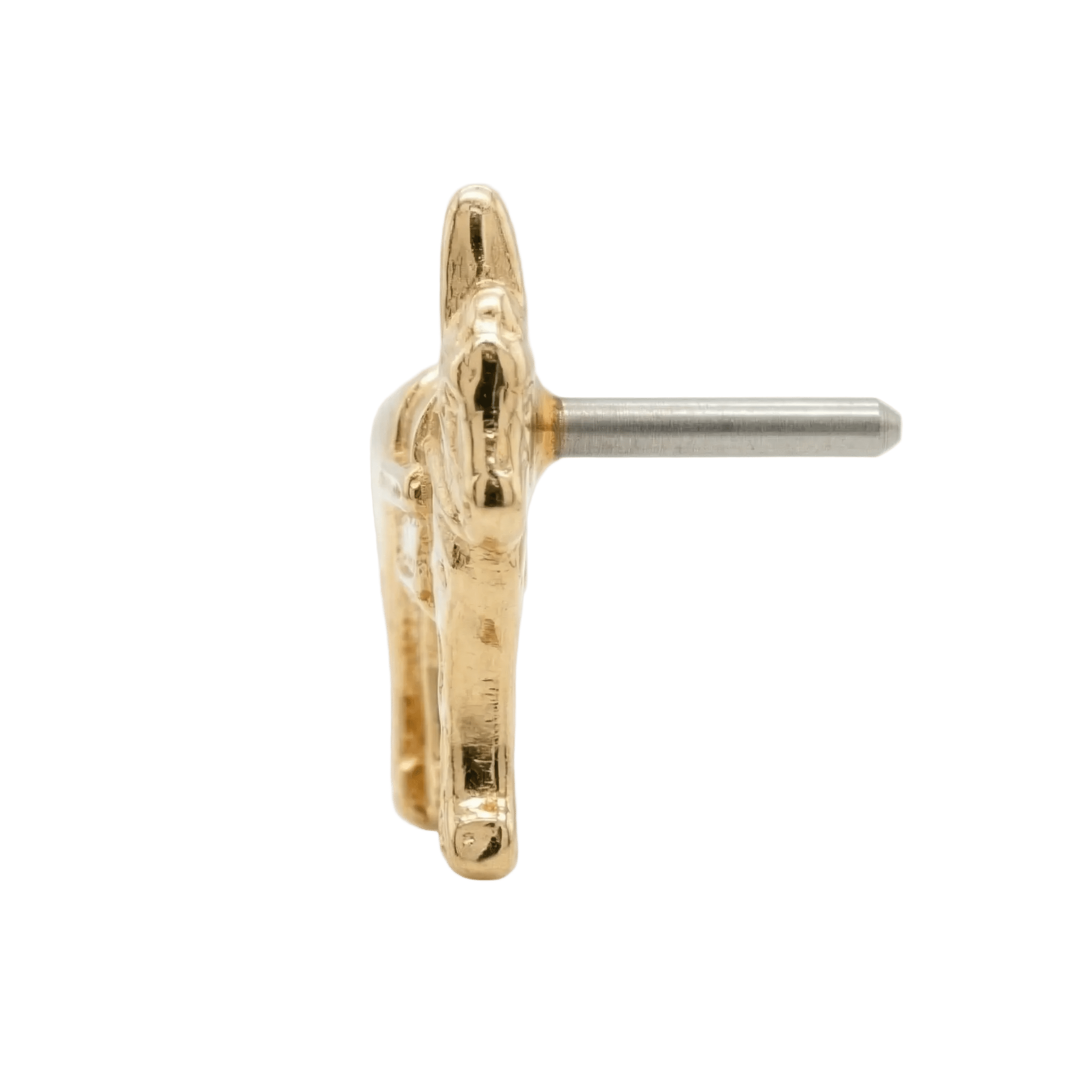 Donkey – 14K Gold Threadless/Threaded End - piercing - zone.com