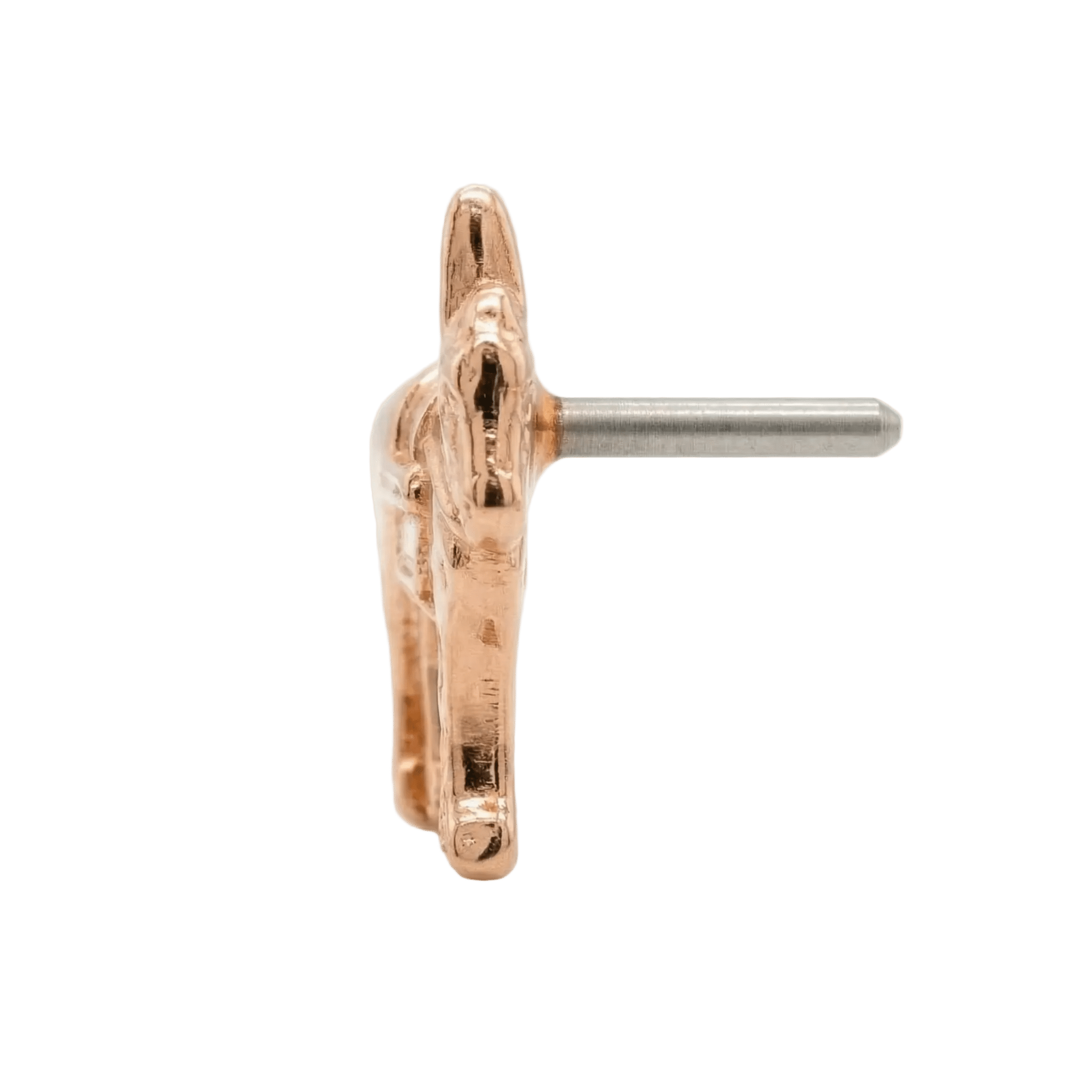 Donkey – 14K Gold Threadless/Threaded End - piercing - zone.com