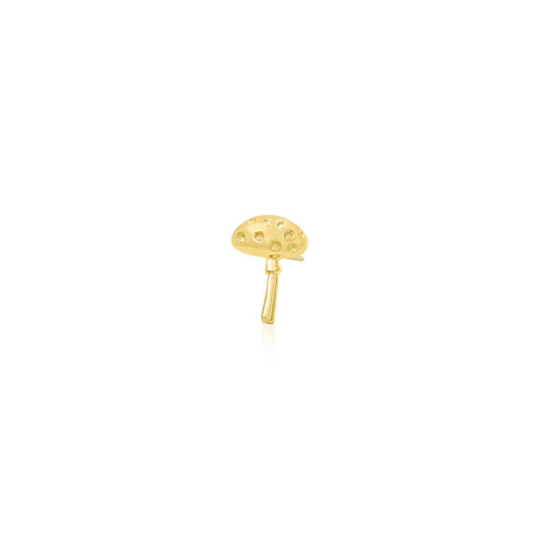 Dotty’s Friend Spotty – 14K Gold Threadless End - piercing - zone.com