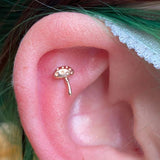 Dotty’s Friend Spotty – 14K Gold Threadless End - piercing - zone.com